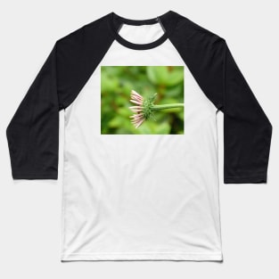 Coneflower Baseball T-Shirt